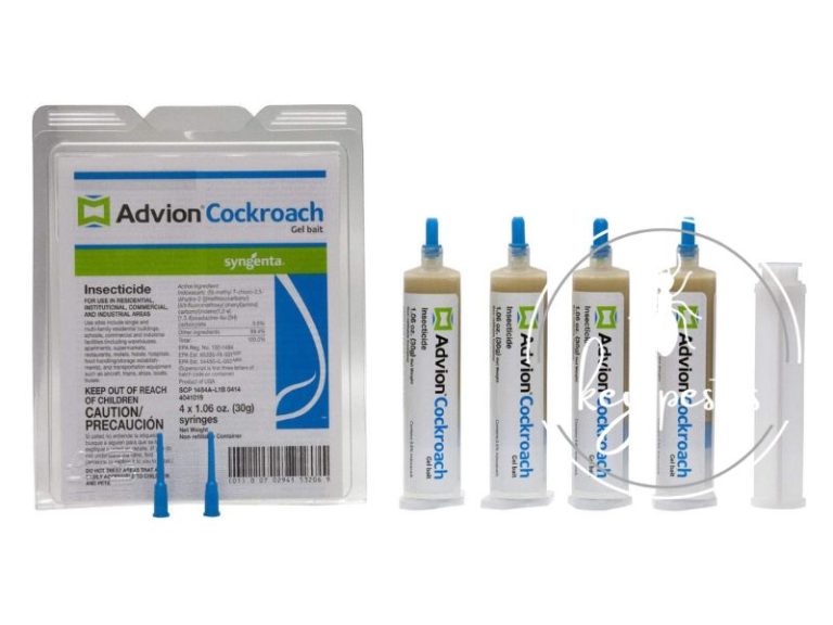 Cockroach Injection Protocol ابرة الصراصير ، افضل 10 انواع من ابرة الصراصير 2023 - أكنان