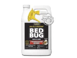 bed bug killer