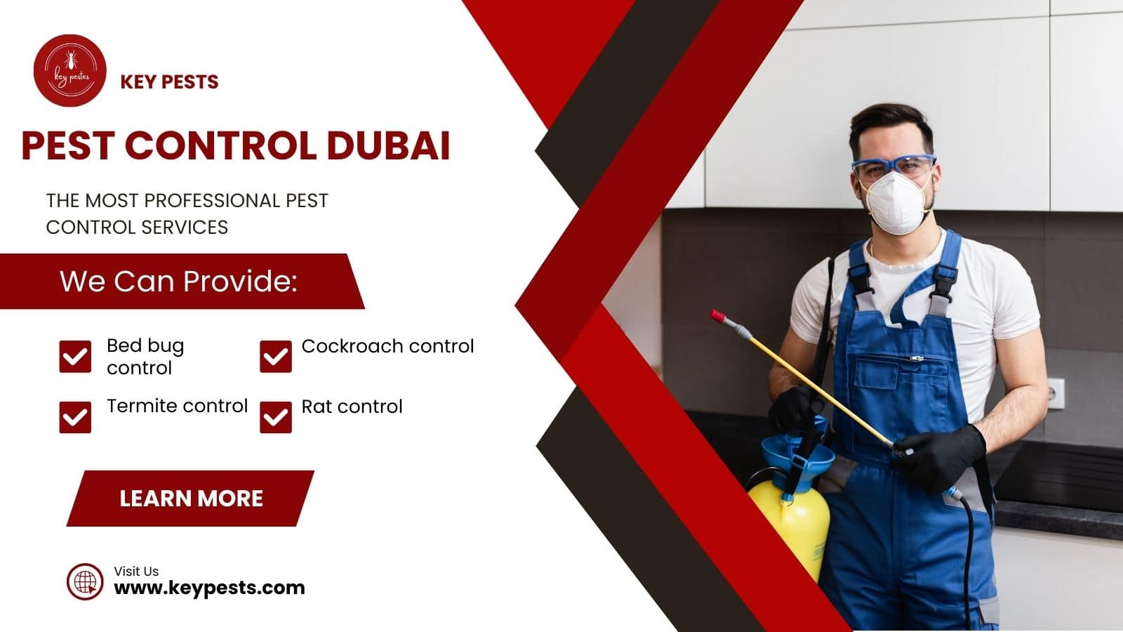Pest control Dubai your smartest choice Key Pests