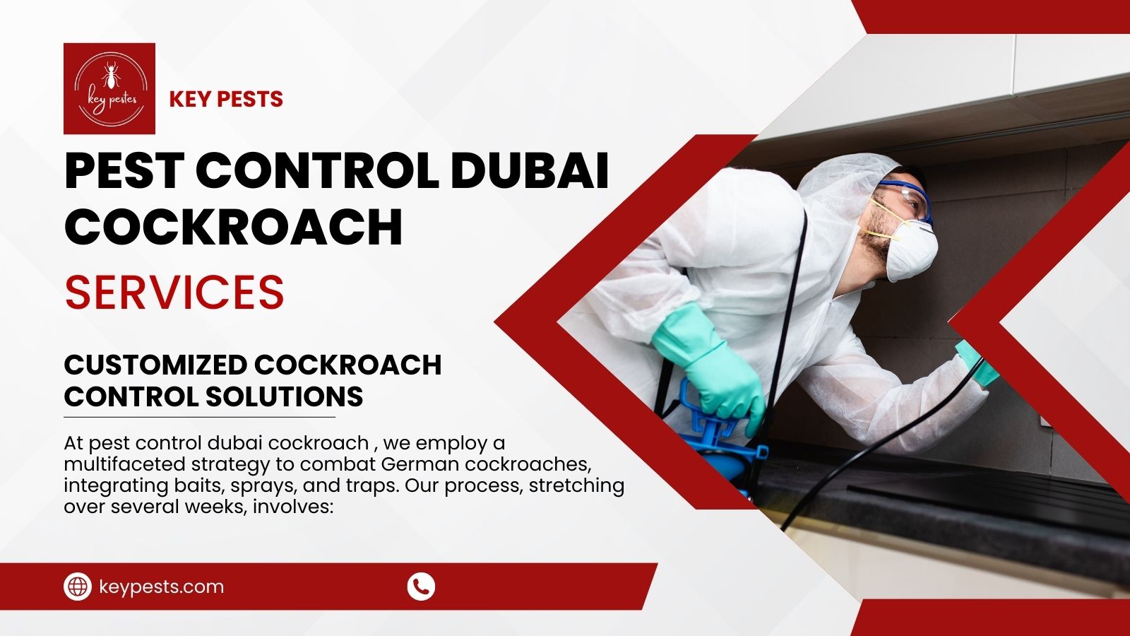 pest control dubai cockroach key pests