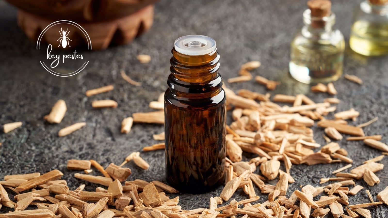 does cedar wood repel moths ? Key Pests
