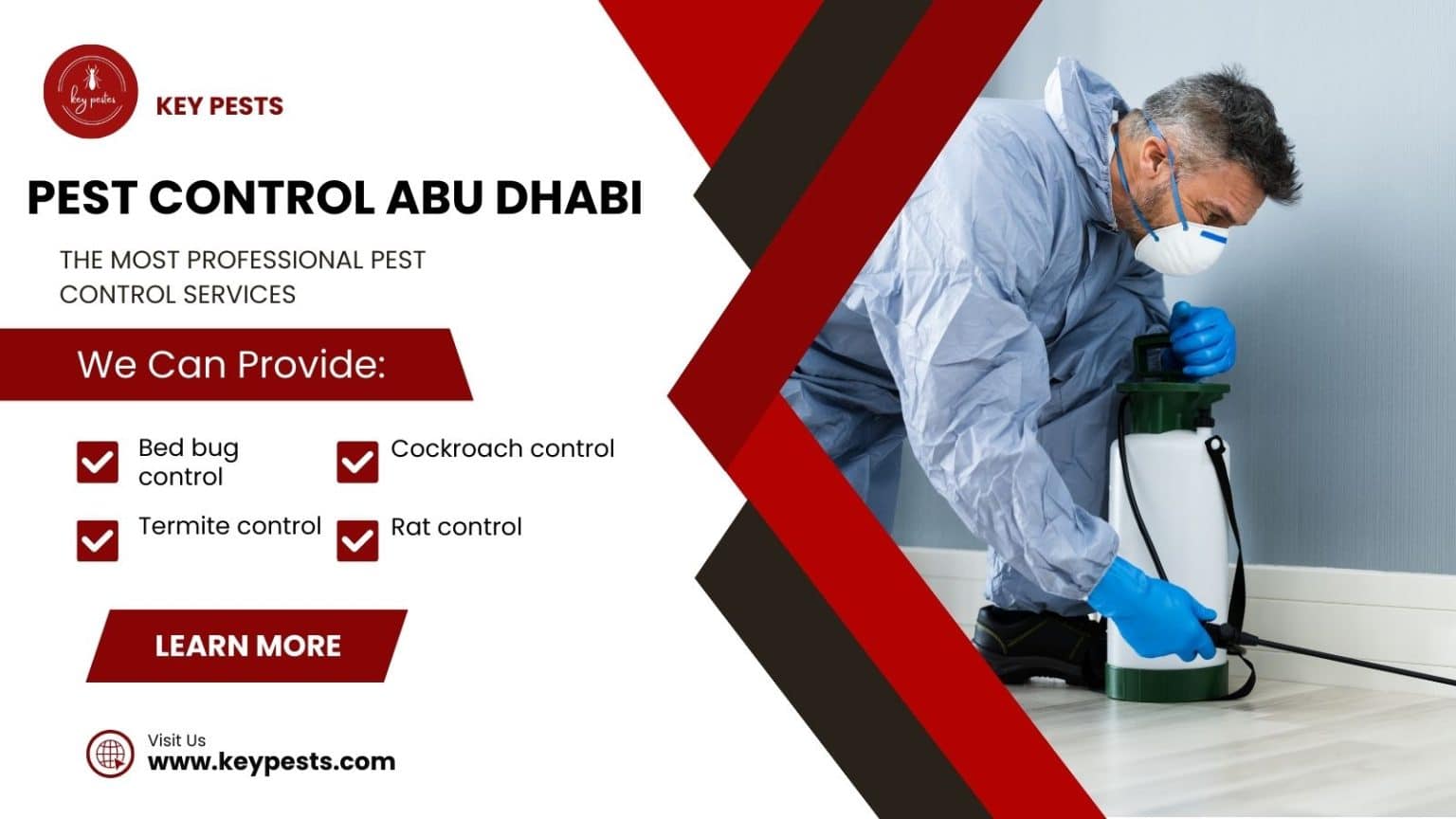 Pest control abu dhabi Effective Solutions